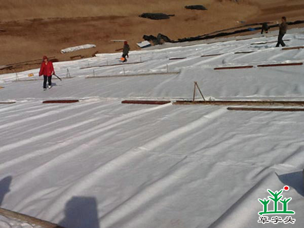 土工布，土工膜，復(fù)合土工膜