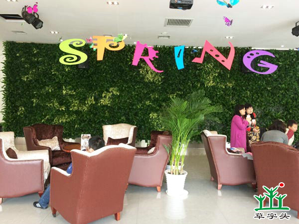 長(zhǎng)沙陽(yáng)光100——立體綠化、垂直綠化、墻體綠化、植物墻