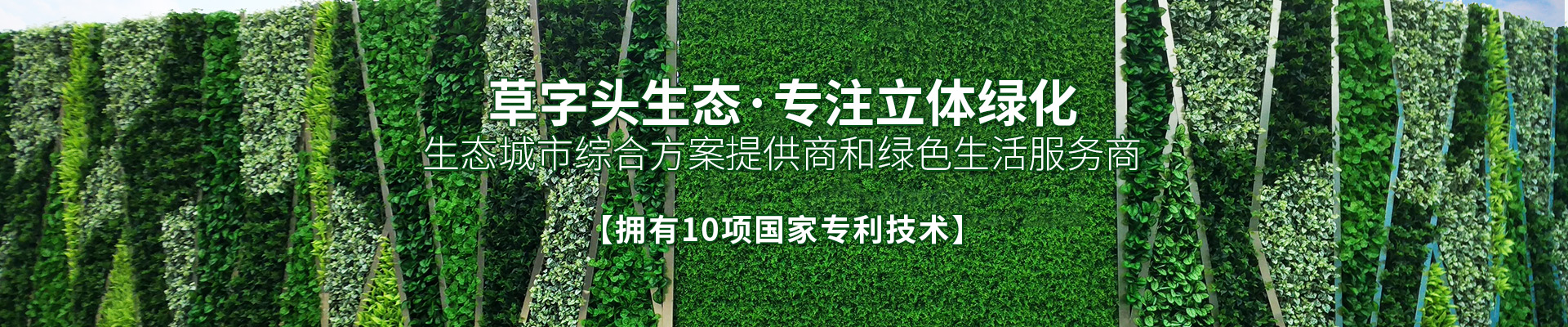 湖南草字頭生態(tài)環(huán)境建設(shè)有限公司|專注于生態(tài)修復(fù)和綠化環(huán)保事業(yè) 湖南草字頭生態(tài)環(huán)境建設(shè)有限公司|專注于生態(tài)修復(fù)和綠化環(huán)保事業(yè)