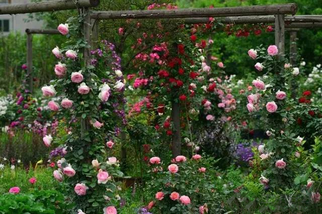 湖南草字頭生態(tài)環(huán)境建設有限公司,人造草坪假草皮,湖南雨水收集處理工藝