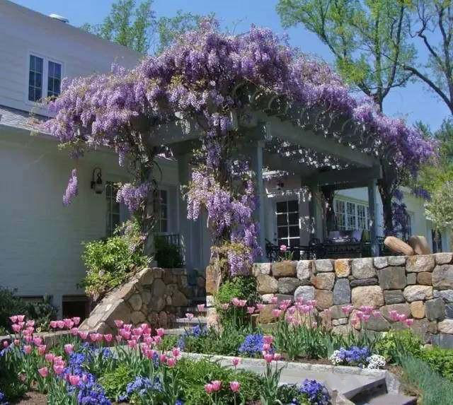 湖南草字頭生態(tài)環(huán)境建設有限公司,人造草坪假草皮,湖南雨水收集處理工藝