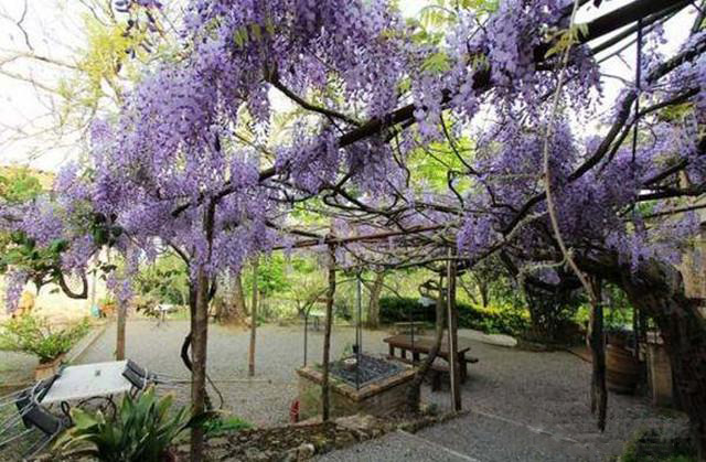 湖南草字頭生態(tài)環(huán)境建設有限公司,人造草坪假草皮,湖南雨水收集處理工藝