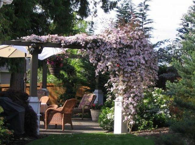 湖南草字頭生態(tài)環(huán)境建設有限公司,人造草坪假草皮,湖南雨水收集處理工藝