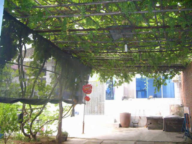 湖南草字頭生態(tài)環(huán)境建設有限公司,人造草坪假草皮,湖南雨水收集處理工藝 湖南草字頭生態(tài)環(huán)境建設有限公司,人造草坪假草皮,湖南雨水收集處理工藝