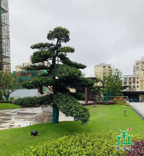 湖南草字頭生態(tài)環(huán)境建設有限公司,人造草坪假草皮,湖南雨水收集處理工藝