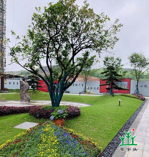 湖南草字頭生態(tài)環(huán)境建設有限公司,人造草坪假草皮,湖南雨水收集處理工藝