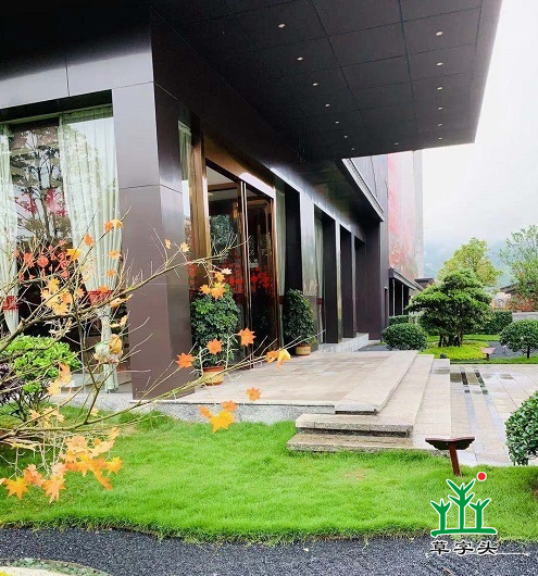 湖南草字頭生態(tài)環(huán)境建設有限公司,人造草坪假草皮,湖南雨水收集處理工藝